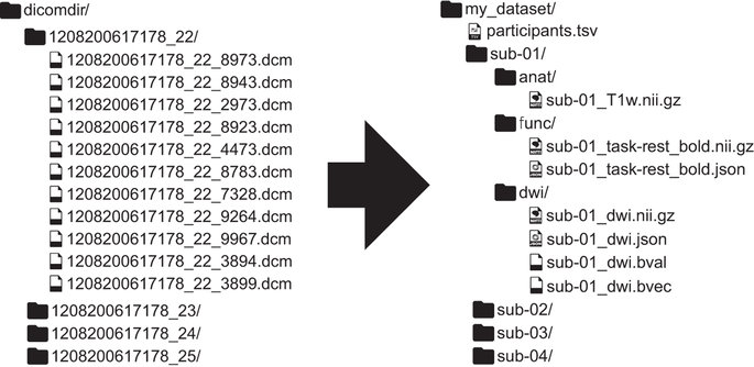 The Brain Imaging Data Standard (BIDS)